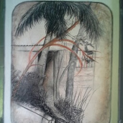 Jacqueline FreemanJacobs