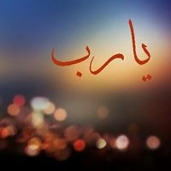Alaa Elsharkawy