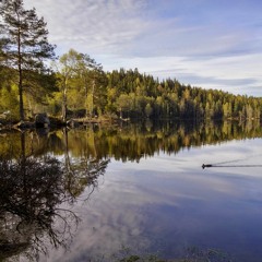 Ludovico Einaudi - Passagio