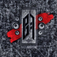 BassAudienz© Support