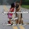 mohamed_goda1990@yahoo.com