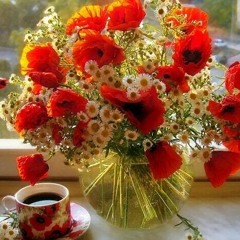 Abouosama الحمصي‎