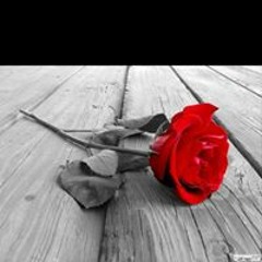 عاصم البنا