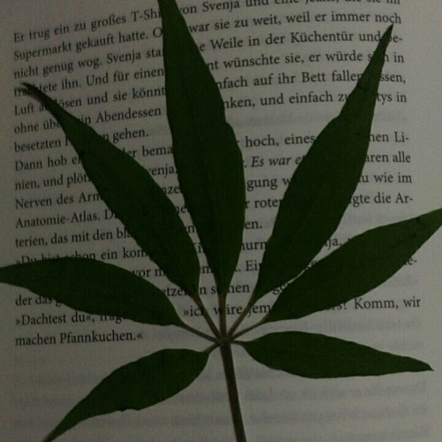 Stream Mathi Mag Marihuana Music | Listen To Songs, Albums, Playlists For  Free On Soundcloud