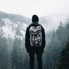Lone Wolf
