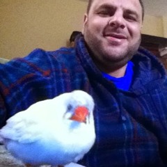 سامر القريني