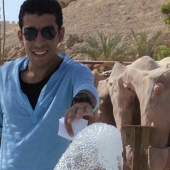 Ahmed Maher Abd El-Aziz