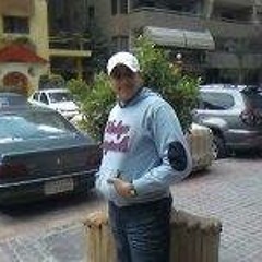 Mostafa Mohamed Zizo