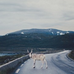 Oliver Mäenpää