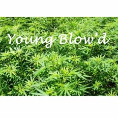 Young Blow'D
