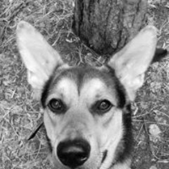 Елка Серафимова