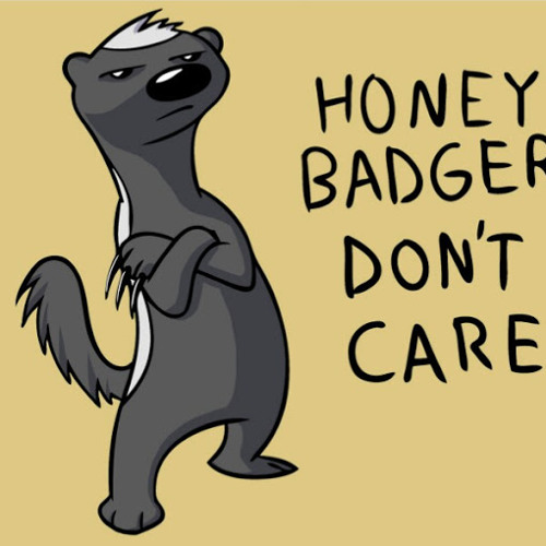 Stream Honey Badger Dont Care Music Listen To Songs Albums Playlists For Free On Soundcloud 