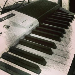 KS-Musico Instrumentista
