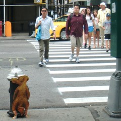 Daniela Noriega Cabrera