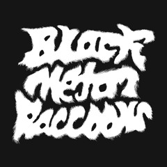 Black Metal Raccoons