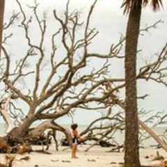 Pangur Brougham-Cook