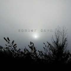 Somber Dawn