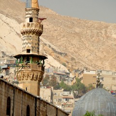 Sadia Fatima Shafquat