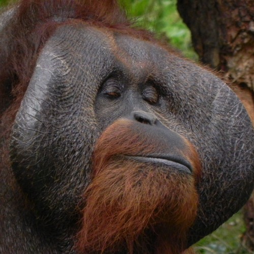 Stream Sean Fortune 1 music | Listen to songs, albums, playlists for ...