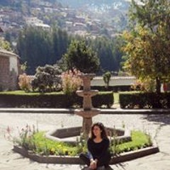 Si tu no estas - cover