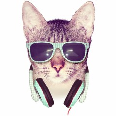 panzy_tracks