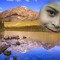 شروق الامل