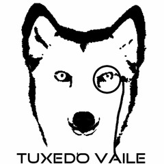 Vaile Cearo (DJ Vaile)