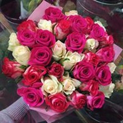 user27670766