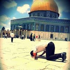 إسلام الوزير