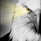 Eagle Powers