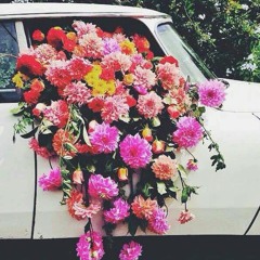 خلود البجيري