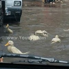 إسراء طارق مصطفى