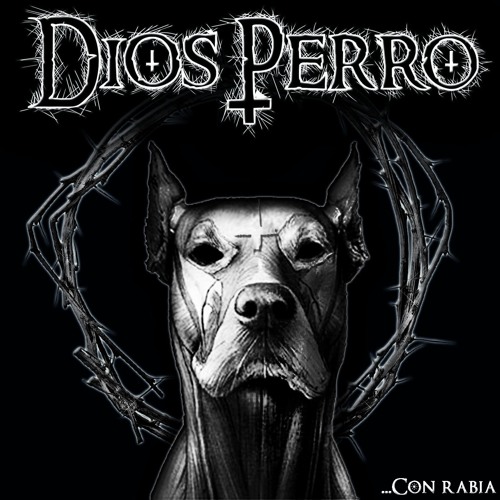 Stream Dios Perro music | Listen to songs, albums, playlists for free on  SoundCloud