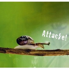 12Attacke