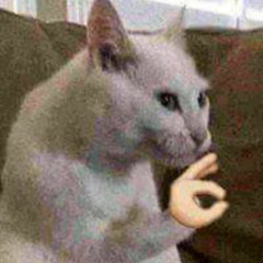 New private playlist