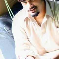 Muhammad Hamza Habib