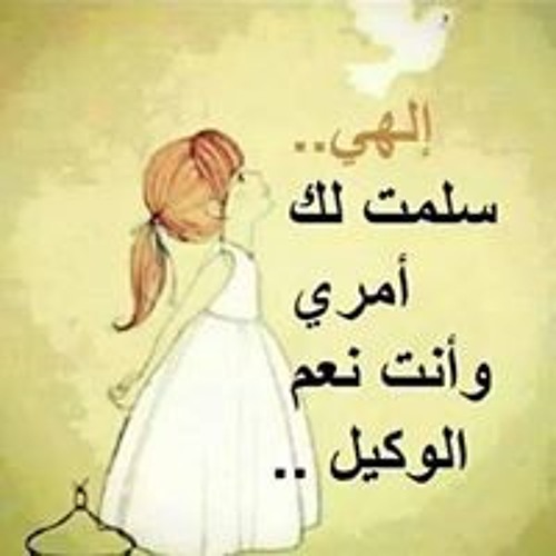 Shahira Abdelftah’s avatar