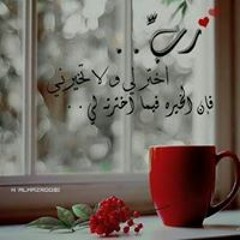 Bahaa Gamal