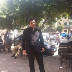 Sayed Fathi 4