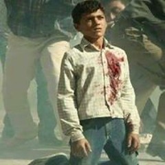 الشحات انور
