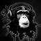 A Hundred Monkeys