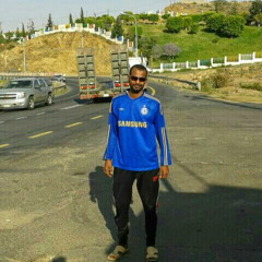 aymn almadany