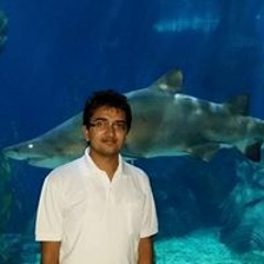 राजन अधिकारी