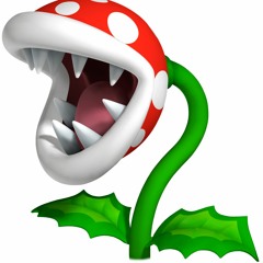segnerli