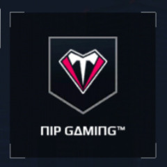ΠIP GΔMIΠG™