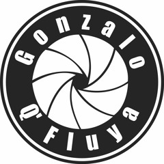 GONZALO QFLUYA