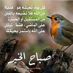 النادر