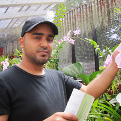 Imad Al Abrawi