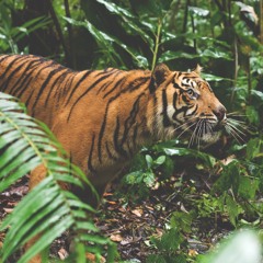 Manuela cadavid perez