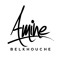 Amine Belkhouche